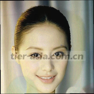 抽象目录册与放大镜扁平插画，示意检索目录与片库索引
